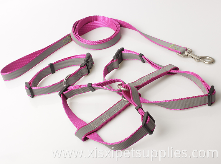Luxury Silkscreen Logo Dog Collar And Leash Set
